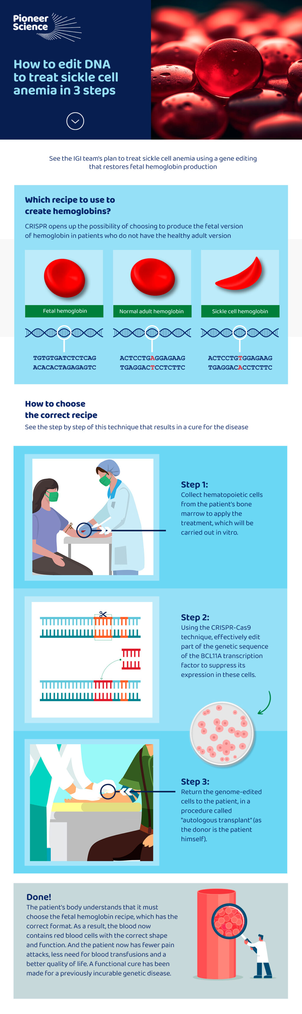 infographic CRISPR sickle cell anemia