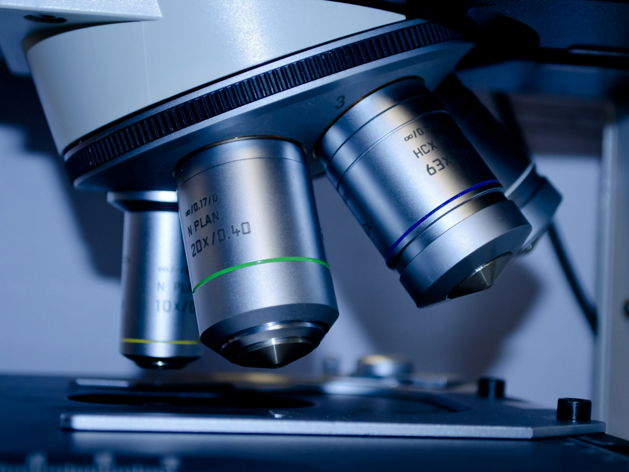 Quantum biology: An update and perspective