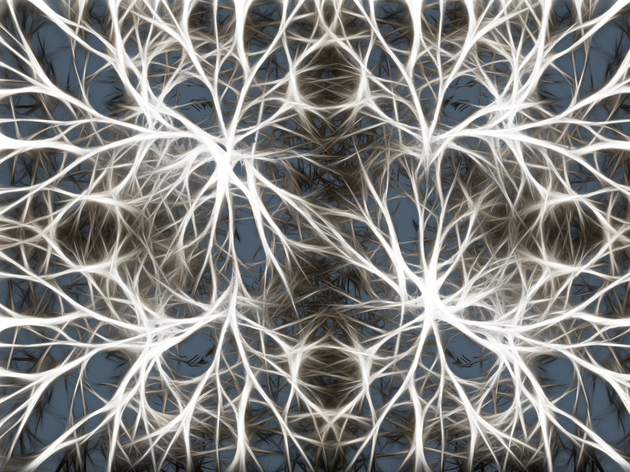 Brain cells