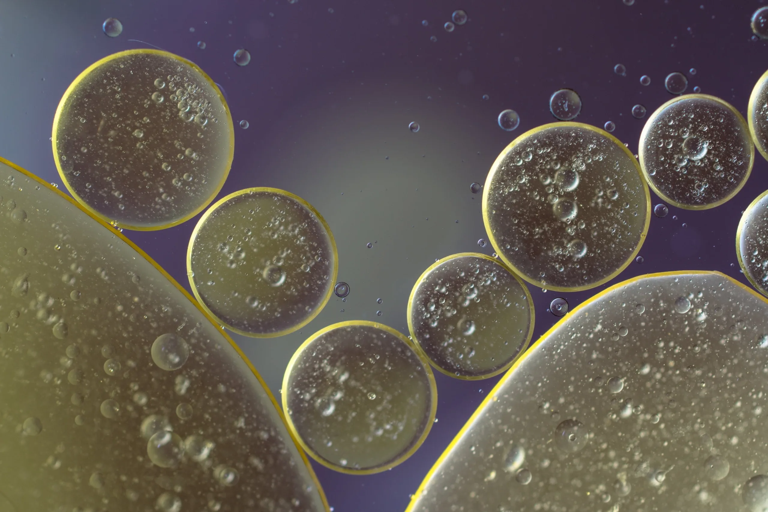 O futuro com biologia quântica