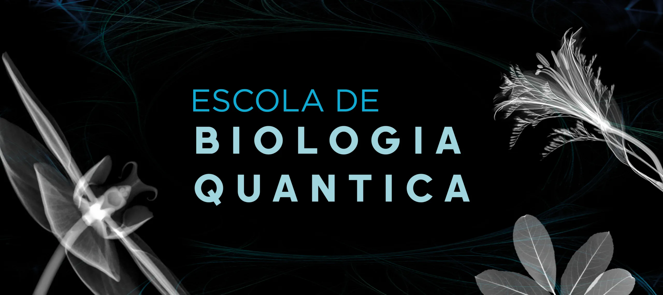 Escola de Biologia Quântica