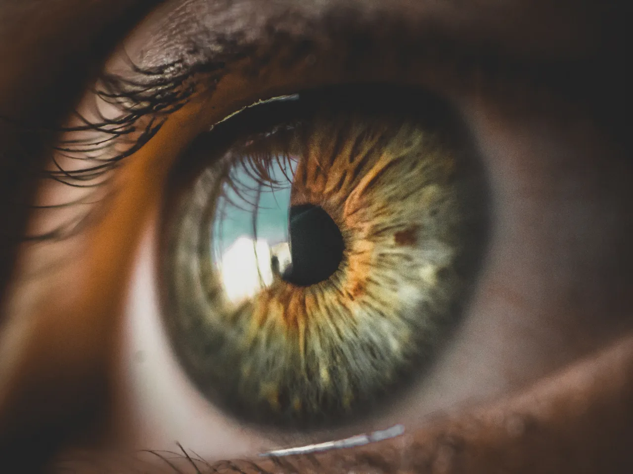 Quantum Vision in the laboratory
