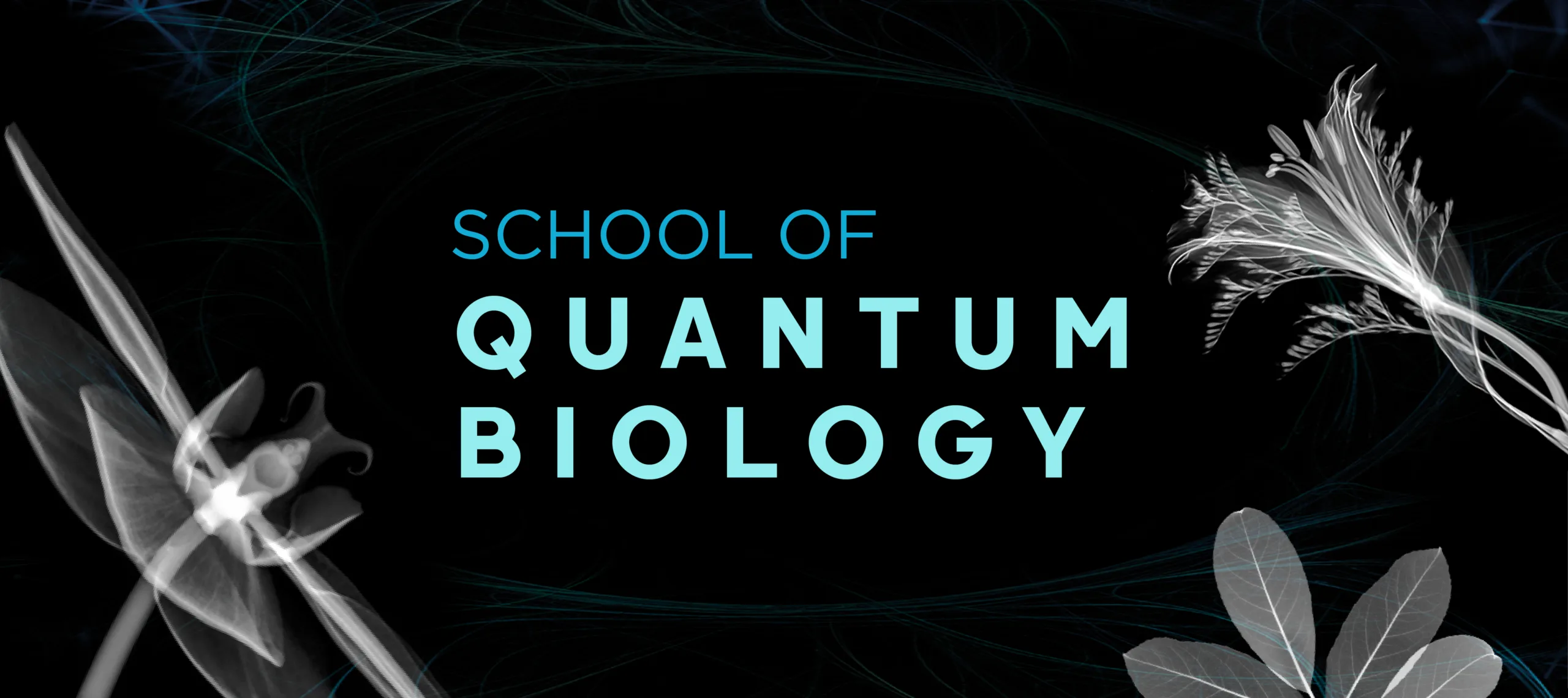 Introducing the School of Quantum Biology in Brazil