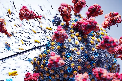 Comunidade de Biologia Quântica