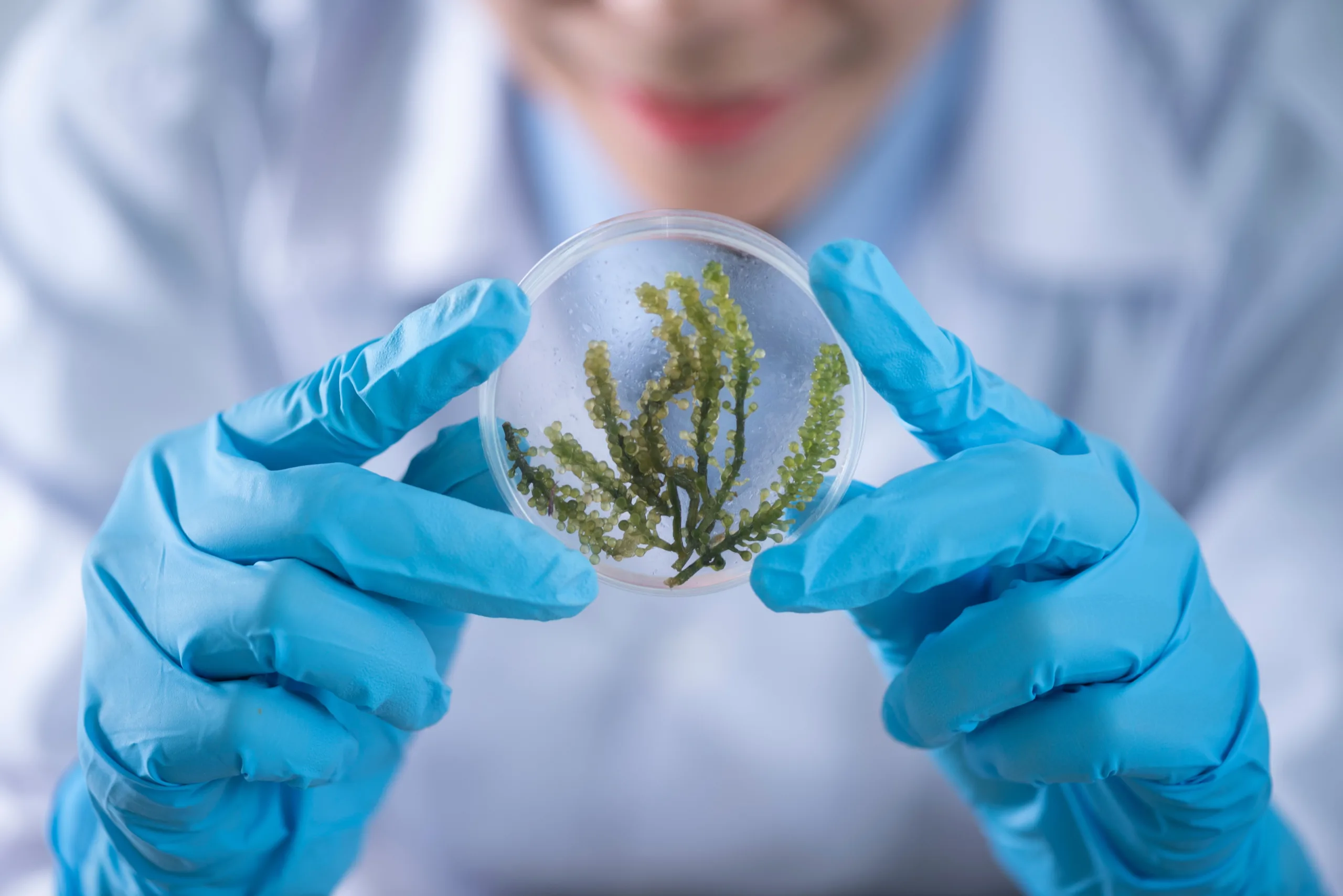 “What can nature teach us about quantum technology?”