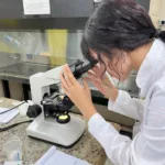 Julia Rezende - Curso