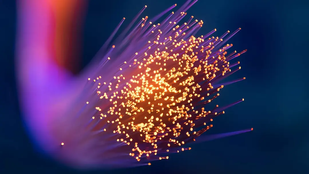 Frontiers in Photonics publica e-book sobre Biologia Quântica com apoio da Ciência Pioneira